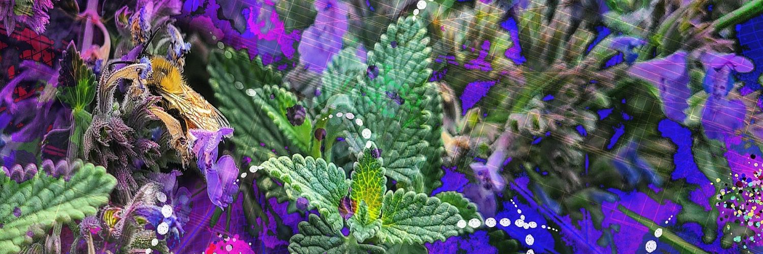 Aaron Holstein - °○●•VibeSquaD•●○° banner