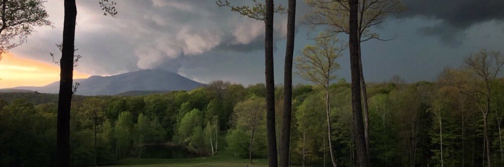RainBuffalo's profile banner image