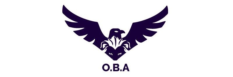 Babafemi Oluyemi banner