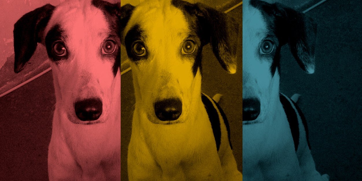 biarrocha's profile banner image