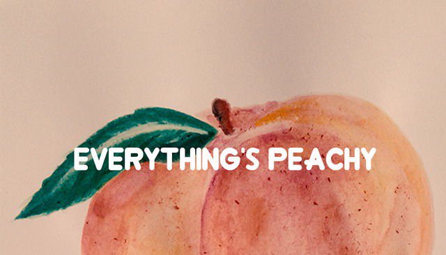 kelsslarkin's profile banner image