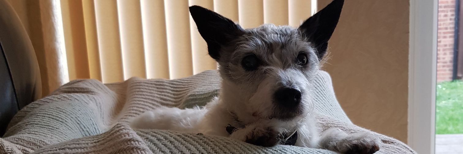 Angela Drury🐎🥂🏃‍♀️ banner