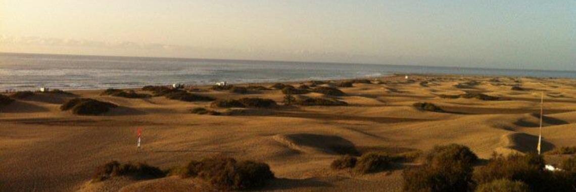 David Frigolet banner