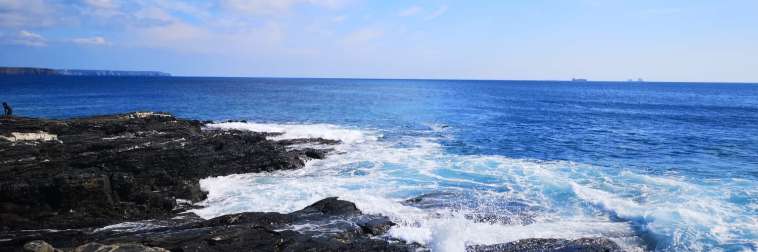 Jennifer Cole 👩🏽‍🏫 banner