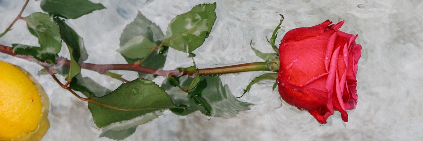 charsilverstein's profile banner image