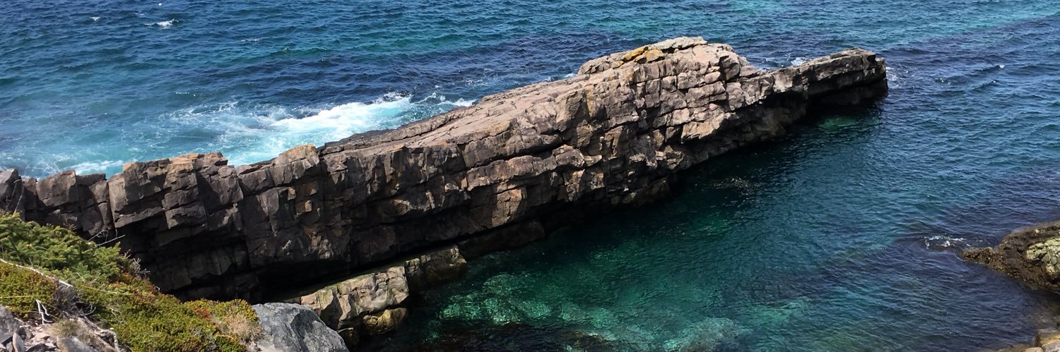 Gorvin Greening banner