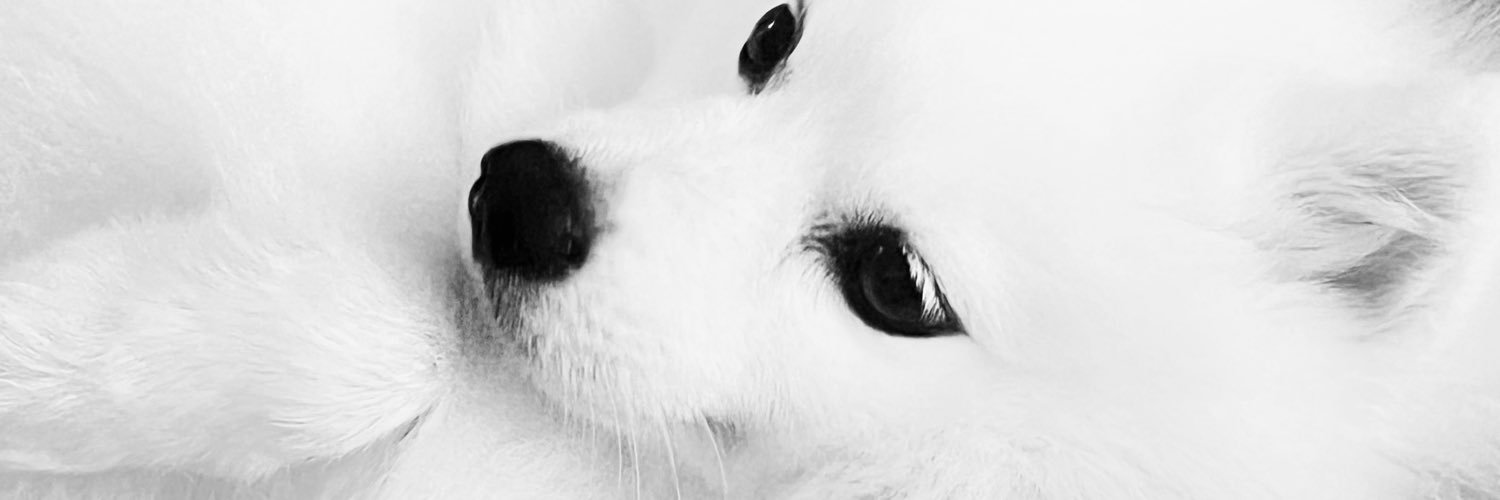 _nicoleyabut's profile banner image