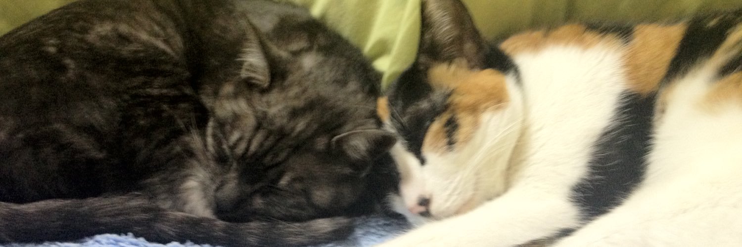 mdr_tj's profile banner image