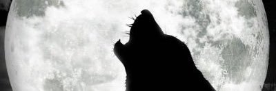 leipehamster's profile banner image