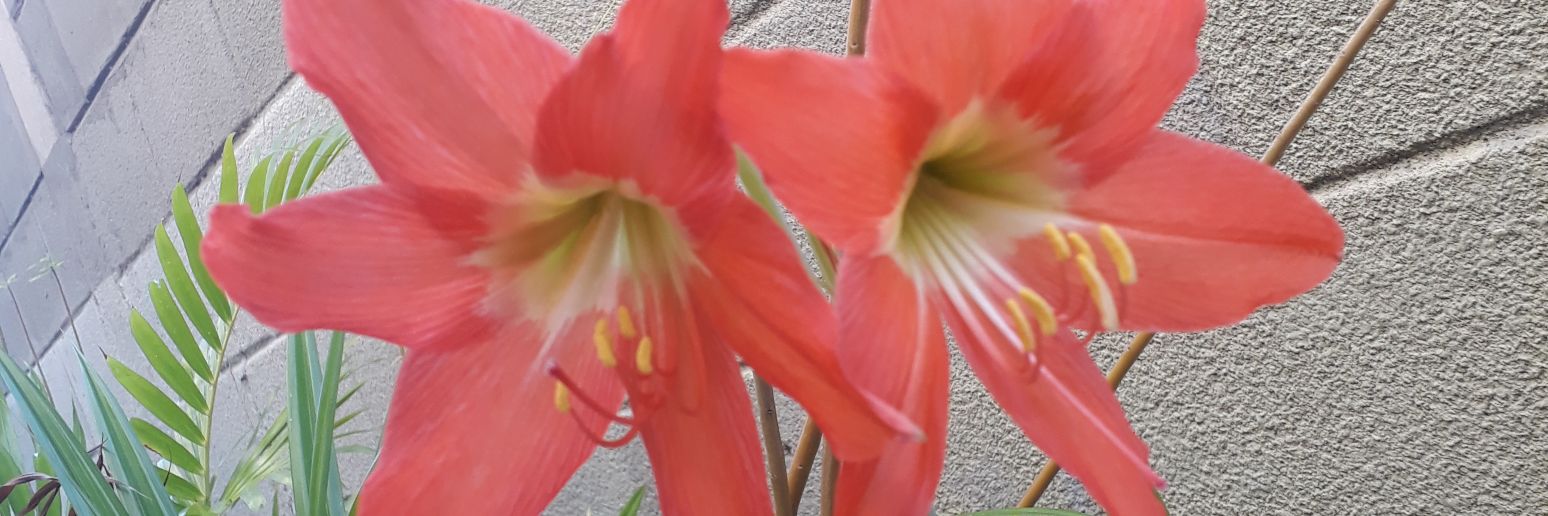 maryandre_19's profile banner image
