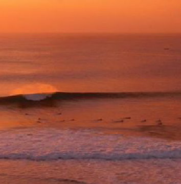 Troy11111's profile banner image