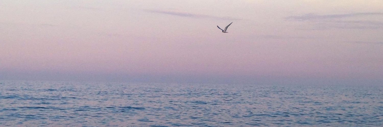 kristencerone's profile banner image
