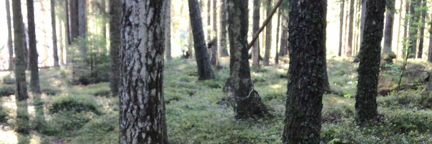 ojhannes's profile banner image