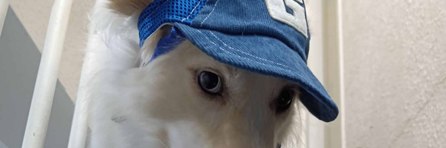 matheusjof's profile banner image