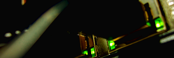 penguin2716 Profile Banner