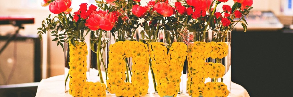 STEMS banner