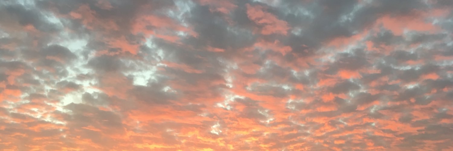 fancynrapp's profile banner image