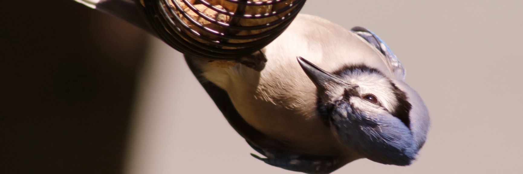 greyloch's profile banner image