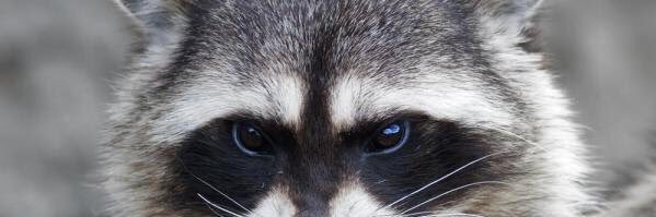 ecmaksy's profile banner image
