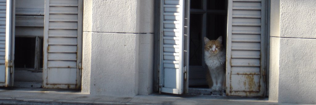 Alejandro Ullua banner