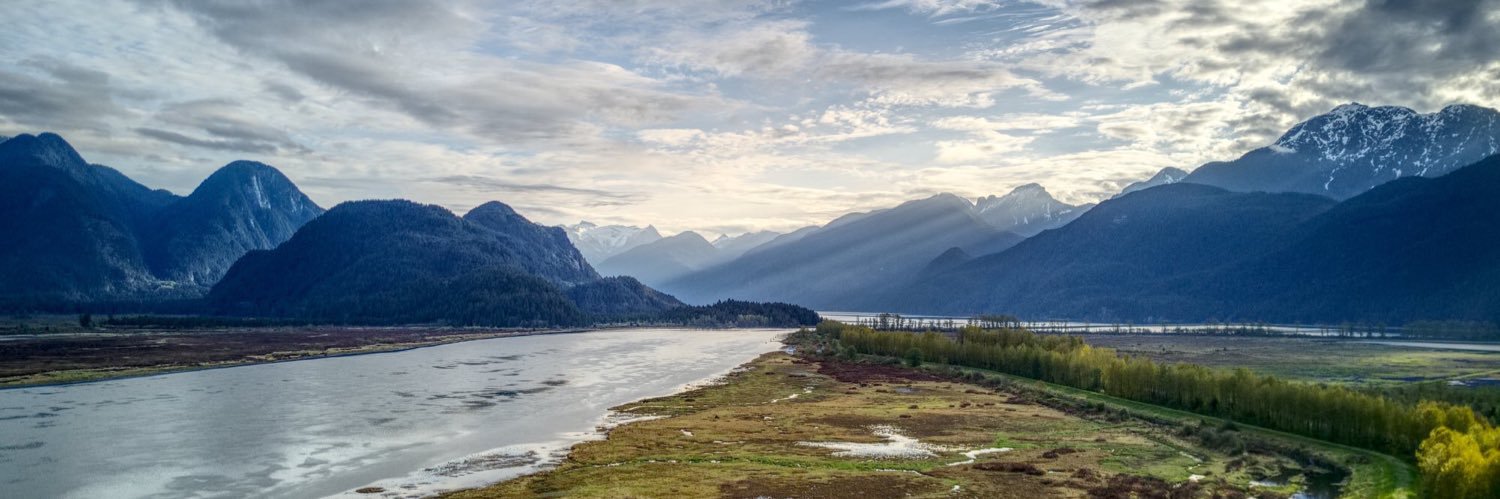 Jennifer stark banner