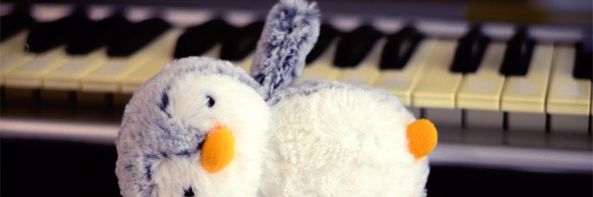 Jack Haben banner