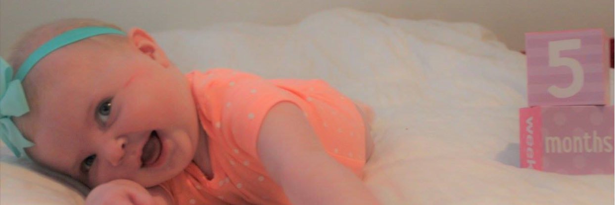 carmenofatt's profile banner image