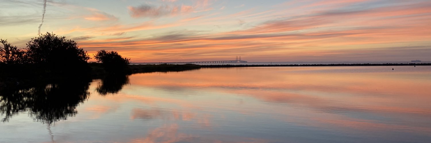 Dennis Schmidt ❤️ HandicapApp banner