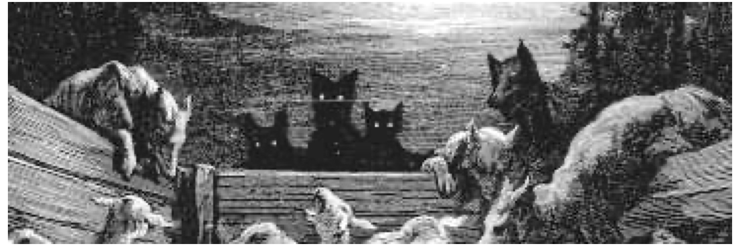 Mathias↝ 🖤 Noir Loup 🏴 banner