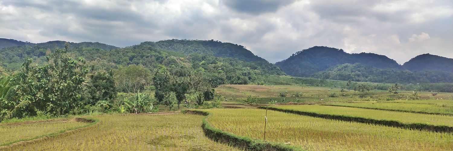 okokpurwanto's profile banner image