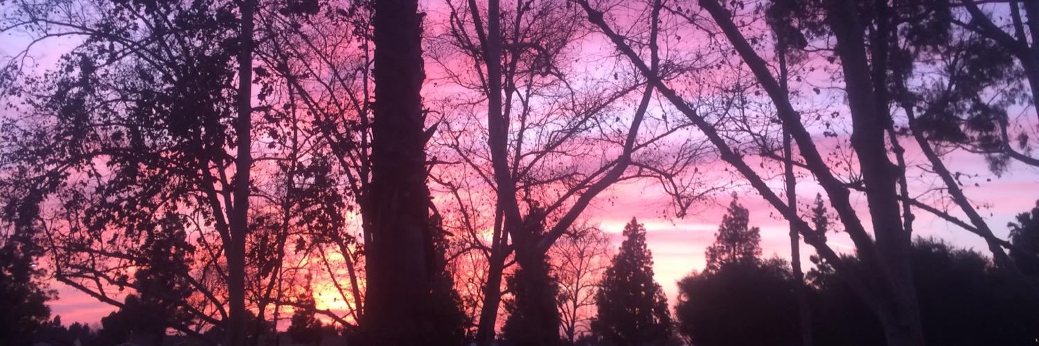 zacksmiley's profile banner image