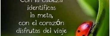 luisangelar's profile banner image
