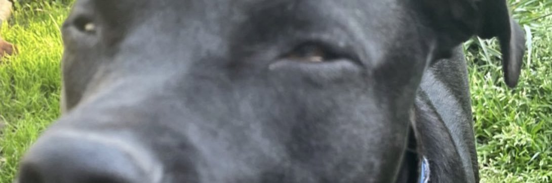 barkusgarcus's profile banner image