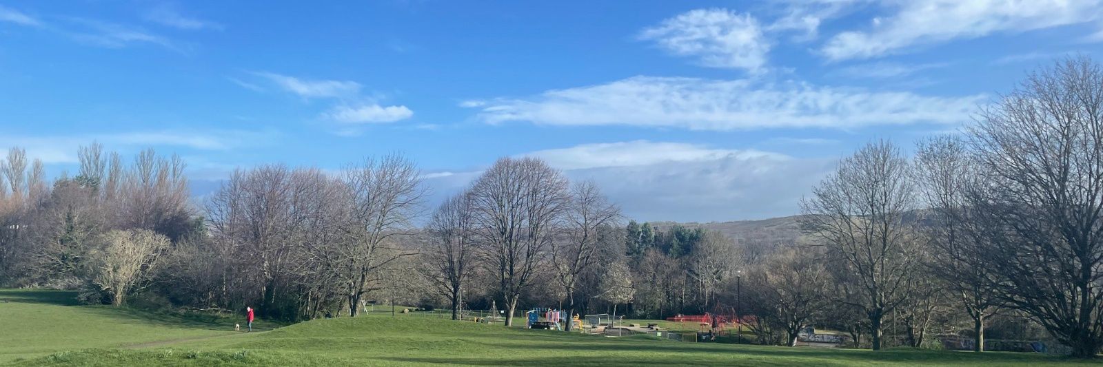 Laura McClean banner