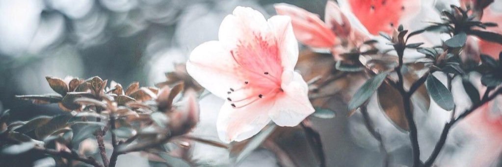 luveramljak's profile banner image