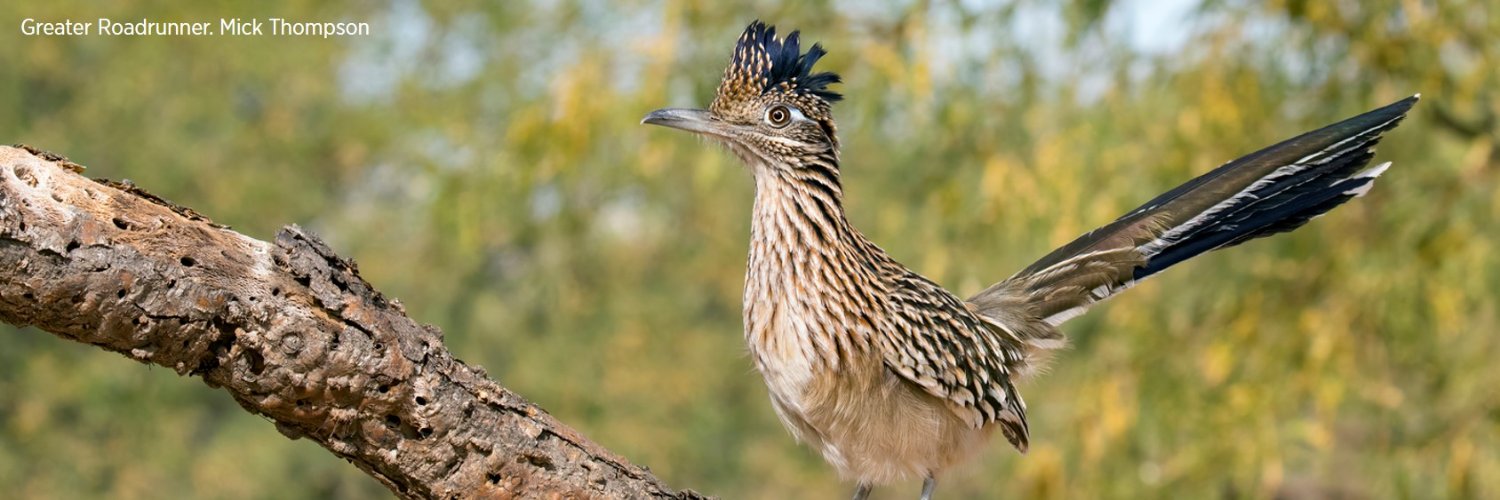 Audubon Southwest banner