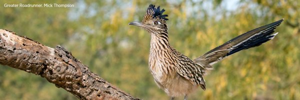 audubonsw Profile Banner