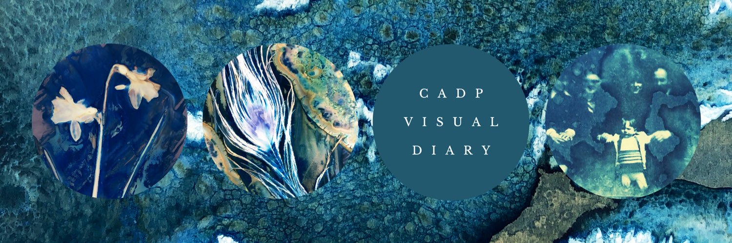 charography's profile banner image