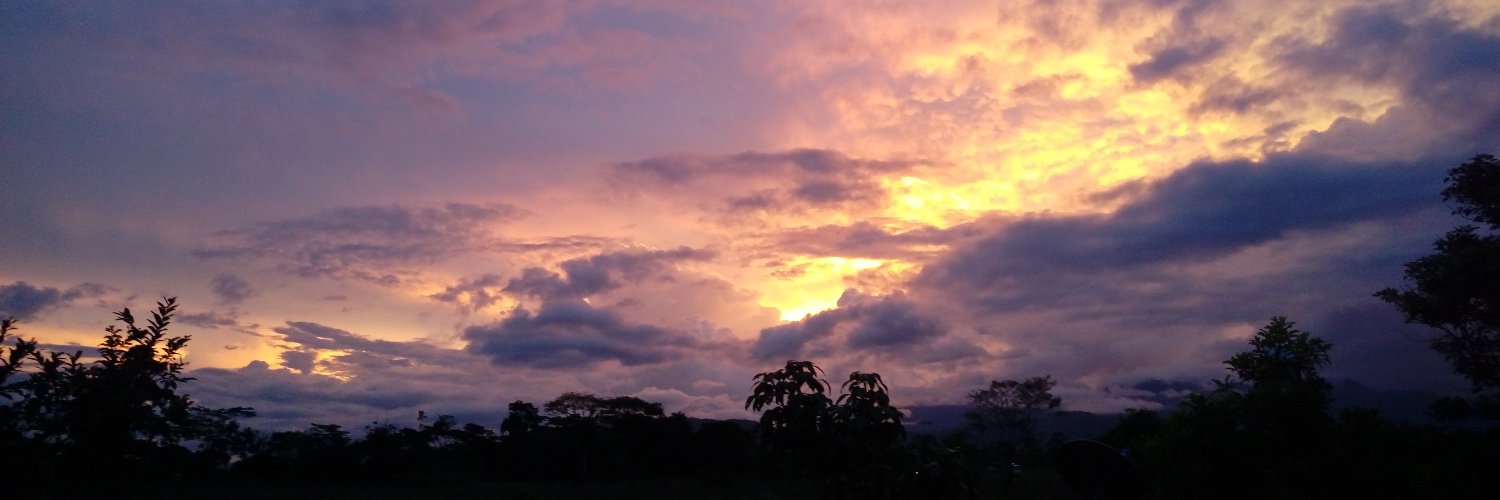 tanyajwalker's profile banner image