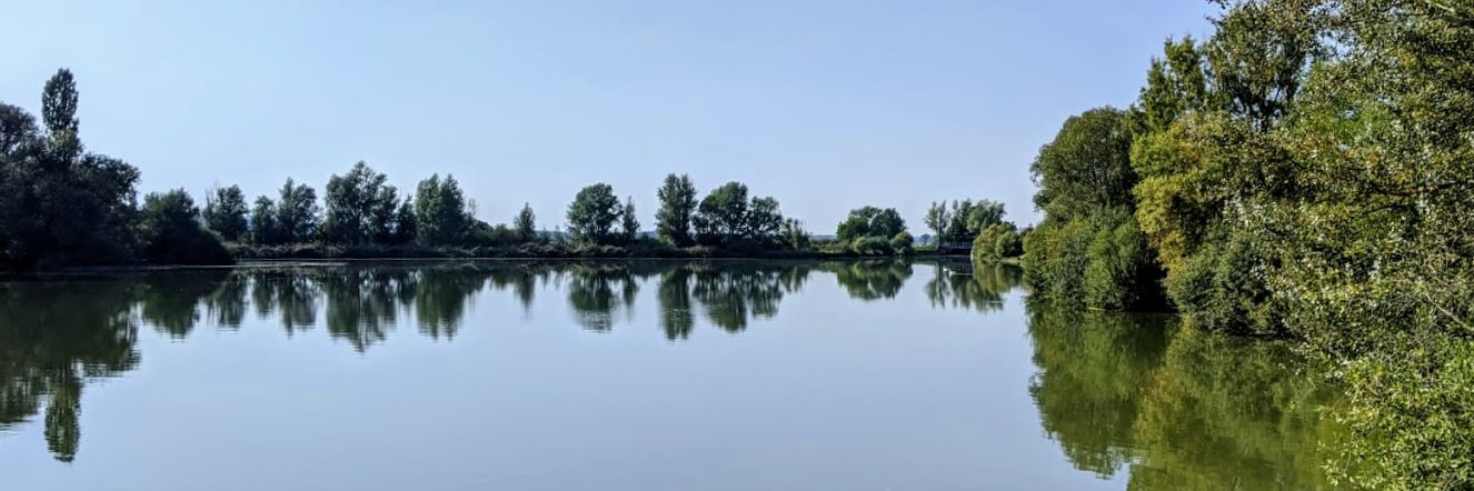 marantern's profile banner image