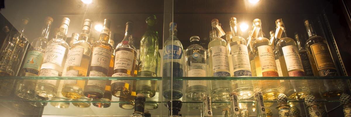 AgaveNYC's profile banner image