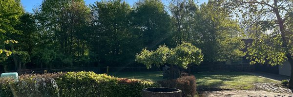 Baserlings Profile Banner