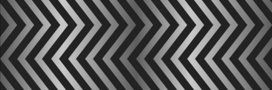 Paulina Toro banner