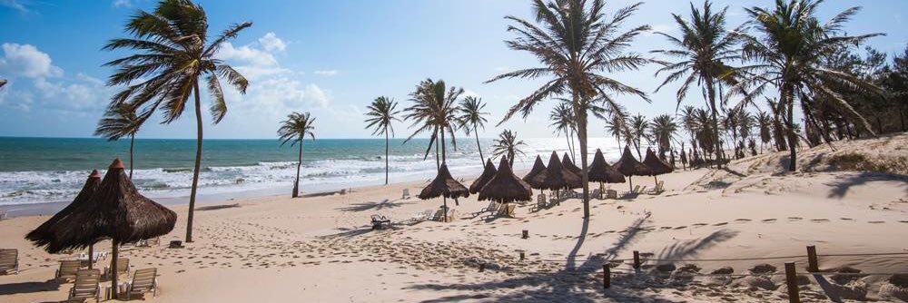 Andréa Carvalho banner