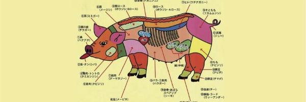 powwow Profile Banner