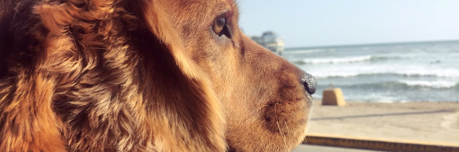 KasandraCa's profile banner image