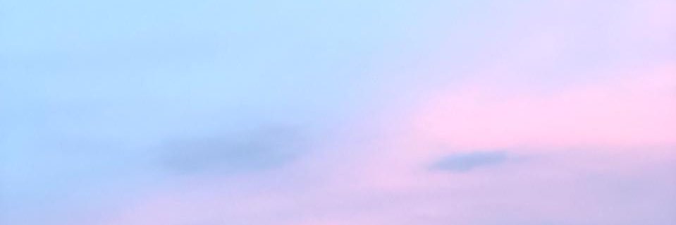 gina_fer's profile banner image