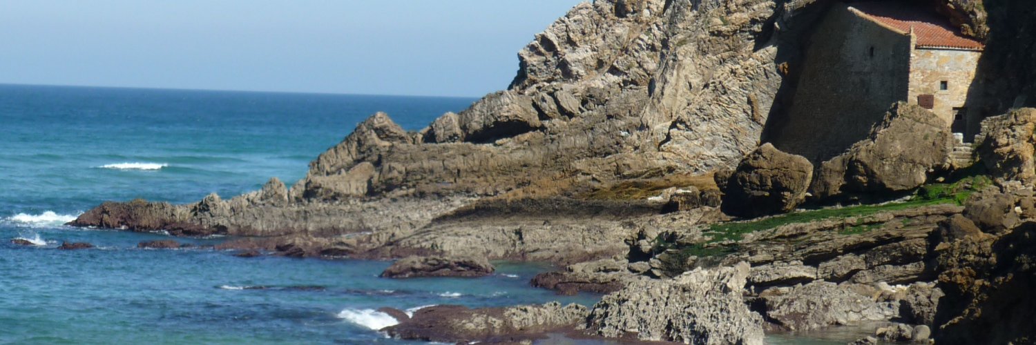 NeViBe's profile banner image