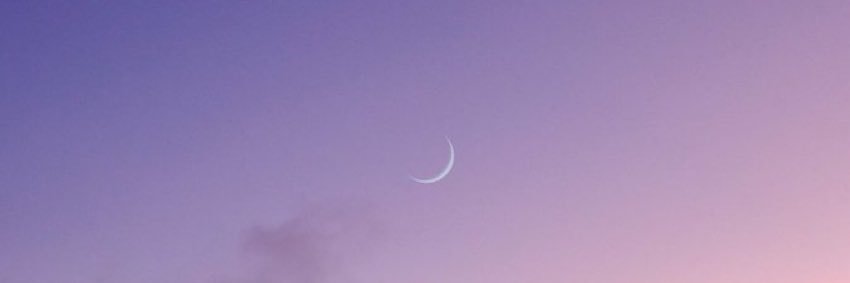 leannegore's profile banner image