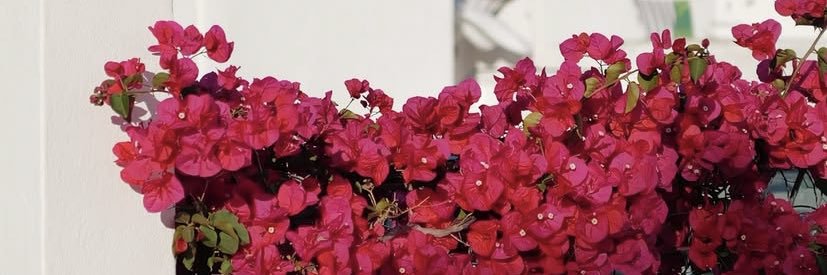 é BrEno, tá? banner